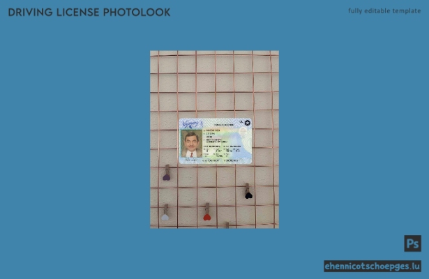 Führerschein des US-Bundesstaates Wyoming im PSD-Format, mit allen Schriftarten (Fotolook-Beispielvorschau, Stand 2020).